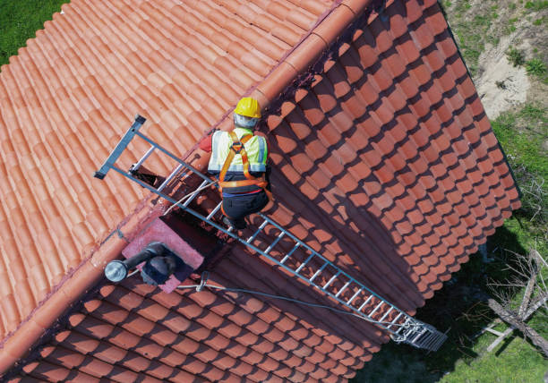 Best Roof Ventilation Installation  in Whitmire, SC